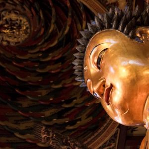 Escapada a la ciudad de Shanghái, Tour Privado