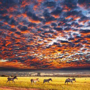 0ddcd9e6-5946-42b3-888d-028bdab78cd6.jpg Deserts of Namibia, Private Tour (On Request)