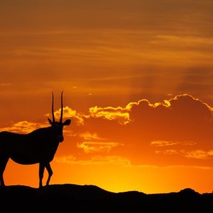 Namibia de la mejor manera, Conducción por cuenta propia