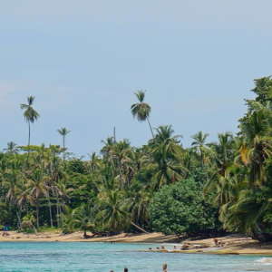 Volcanes, Naturaleza y Caribe