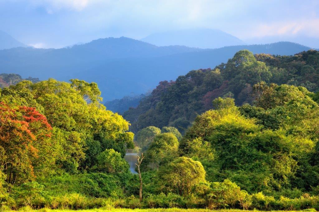 Triángulo dorado con la ciudad de los lagos de Udaipur, Supersaver - Imagen 4