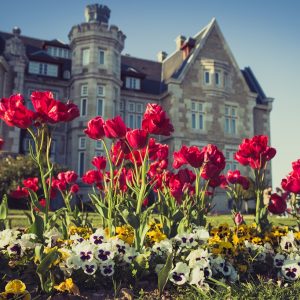 1b0b2608-41da-4f82-a5da-39b221de63c8.jpg Bilbao y Santander, Conducción por cuenta propia