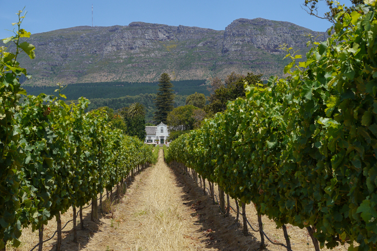 Ciudad del Cabo, Garden Route y Cabo Oriental - Imagen 4