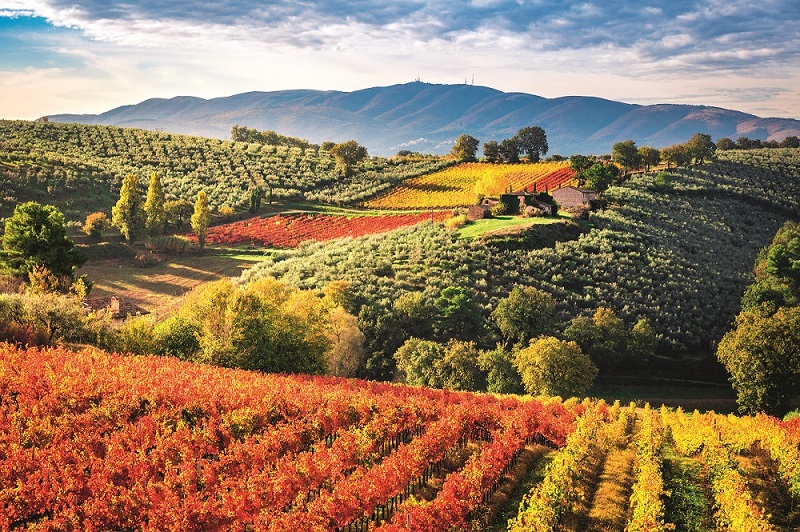 Pueblos montañosos de Umbría, conducción por cuenta propia - Imagen 7