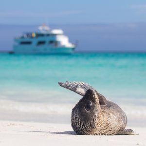 Andes y Galápagos (varios países)