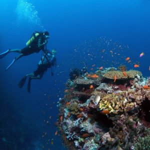 Explorando las Maldivas: las islas Fihalhohi, Maafushi y Kuda Bandos