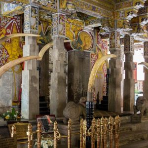 Descubre las Colinas Centrales