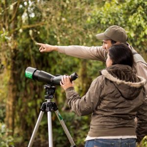 Observación de aves en Costa Rica (Bajo Petición)