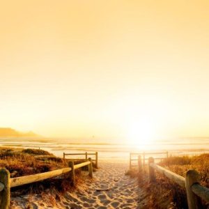 33dfdc3f-39e8-4767-ade0-1aa3f7c014f6.jpg Cultura y cocina de Ciudad del Cabo, Tour privado