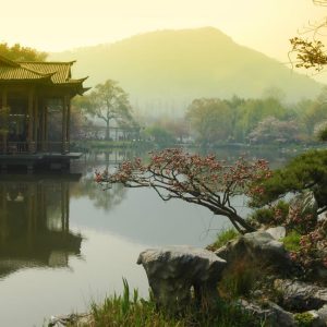 Escapada a la ciudad de Hangzhou, Tour Privado