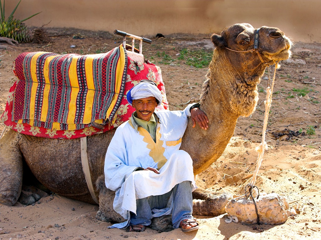 Ouarzazate Pernocta, 2 días, tour privado - Imagen 6