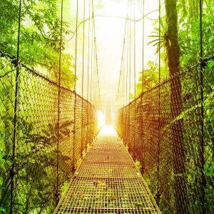 Costa Rica: Forests & Wildlife Paradise with Italian-speaking guide, Small Group Tour