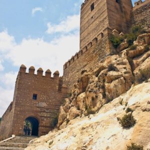 Costa Tropical y Naturaleza, Conducción por cuenta propia