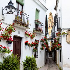 Imprescindibles de Andalucía, Conducción por cuenta propia