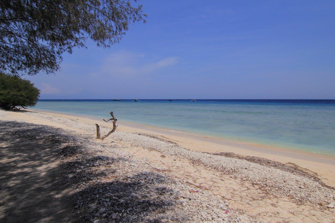 Canto del Paraíso, Tour Privado - Imagen 7