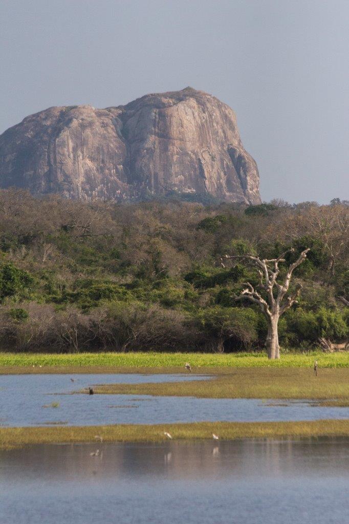 Conecta con lo Salvaje, Tour Privado - Imagen 2