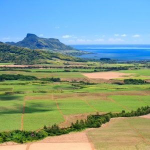 Simplemente Mauricio (solo adultos hotel 5*)