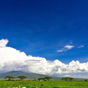 Safari en Kifaru - Serena Lodges