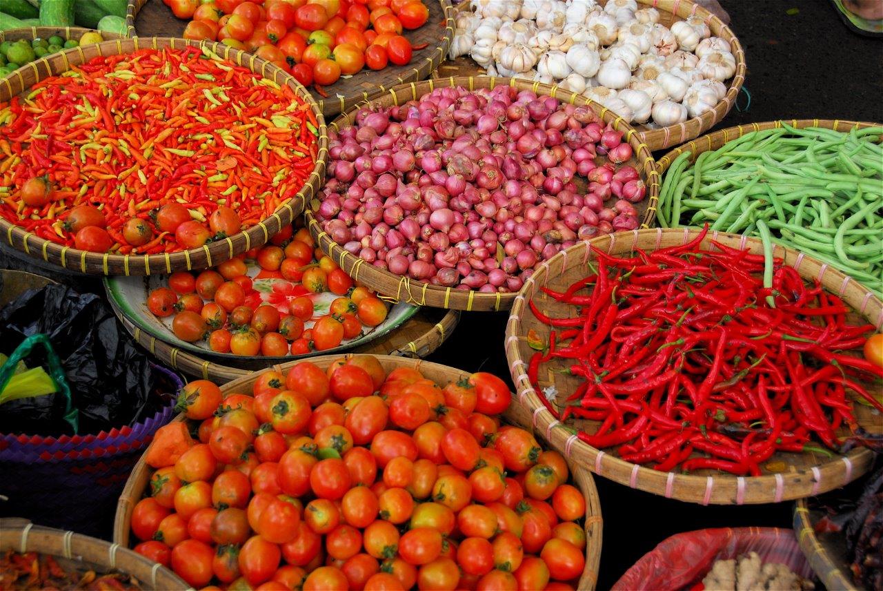 Canto del Paraíso, Tour Privado - Imagen 9