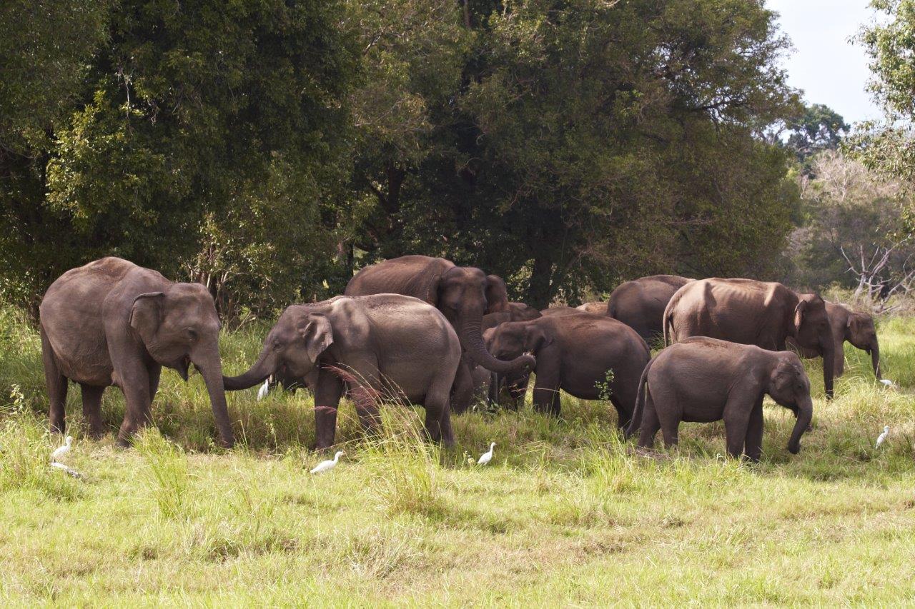 Conecta con lo Salvaje, Tour Privado - Imagen 3