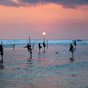 Lo más destacado de Sri Lanka