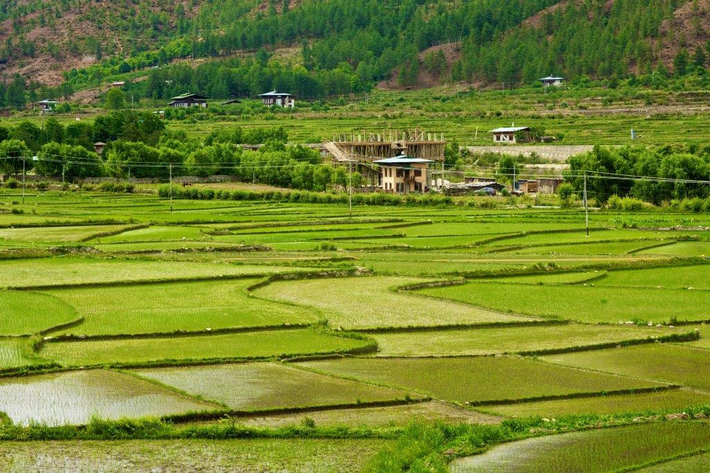 Bután, tour de 8 días (bajo petición) - Imagen 15