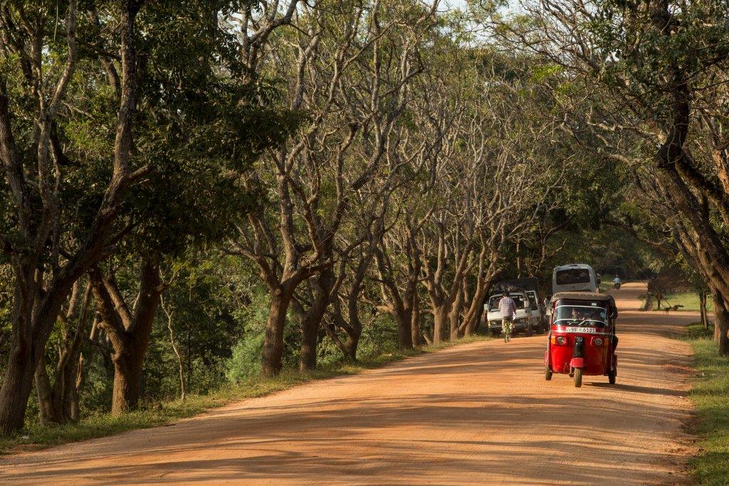 Lo más destacado de Sri Lanka - Imagen 9