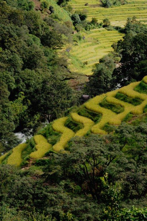 Bután, tour de 6 días (bajo petición) - Imagen 7