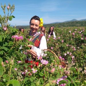 Grupo exclusivo (mínimo 10 personas): tour culinario de vinos búlgaros