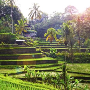 Inolvidable Bali, Tour Privado