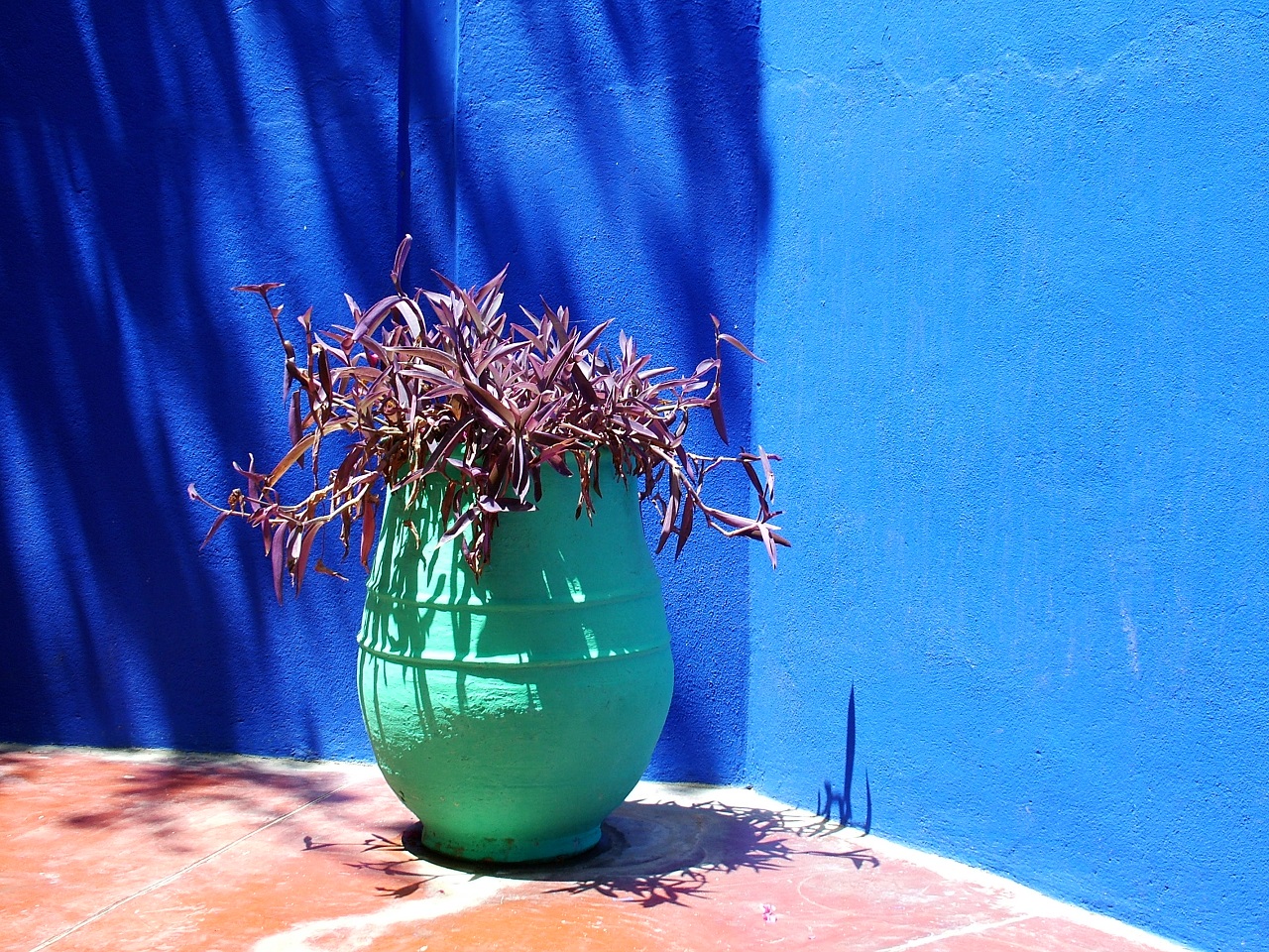 TUI Tours | Montañas del Atlas: las huellas de los nómadas - Imagen 4