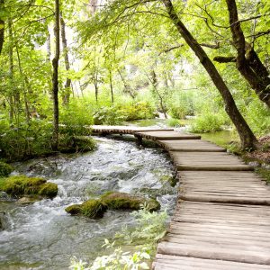 Patrimonio de la UNESCO, Conducción por cuenta propia