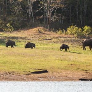 17 Días en la India Drávida, Tour Privado