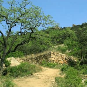 Escapada a la ciudad de Changsha, Tour Privado