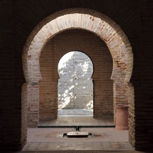 Jerez Alcazar, Cadiz, Andalusia, Spain Al Sur, Conducción por cuenta propia