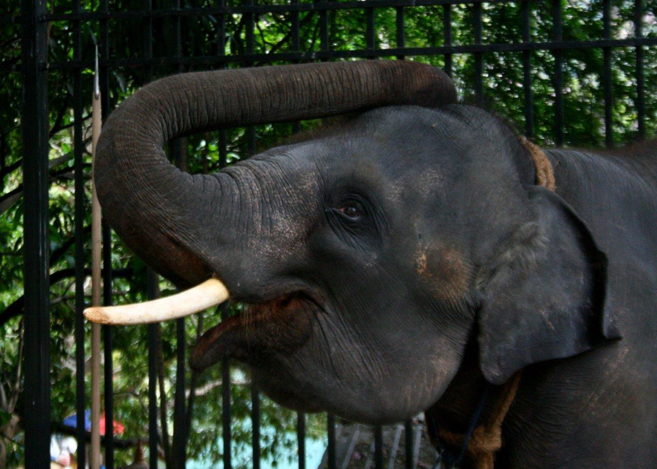 Conecta con lo Salvaje, Tour Privado - Imagen 5