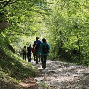 Grupo exclusivo (mínimo 10 personas): Aventura en Croacia: camina, come y disfruta