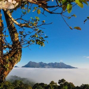 Lo más destacado del norte de Tailandia, recorrido privado