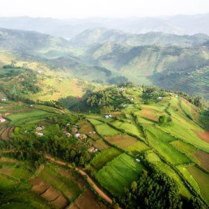 dd7009e0-bc9f-4497-ab25-8951337fe884.jpeg Bwindi por Aire — Santuario de Gorilas en el Bosque (Sujeto a Disponibilidad)