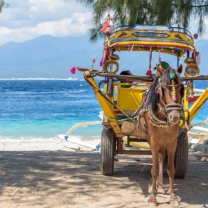 Exóticas Islas Gili, Tour Privado