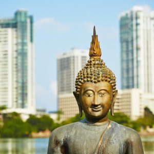 Lo mejor de Sri Lanka 7 días, Tour Privado