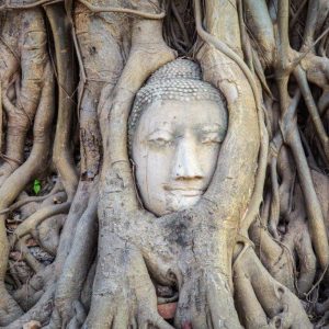 Gran recorrido por Tailandia y paquete por Camboya, recorrido en grupo pequeño (otros idiomas)