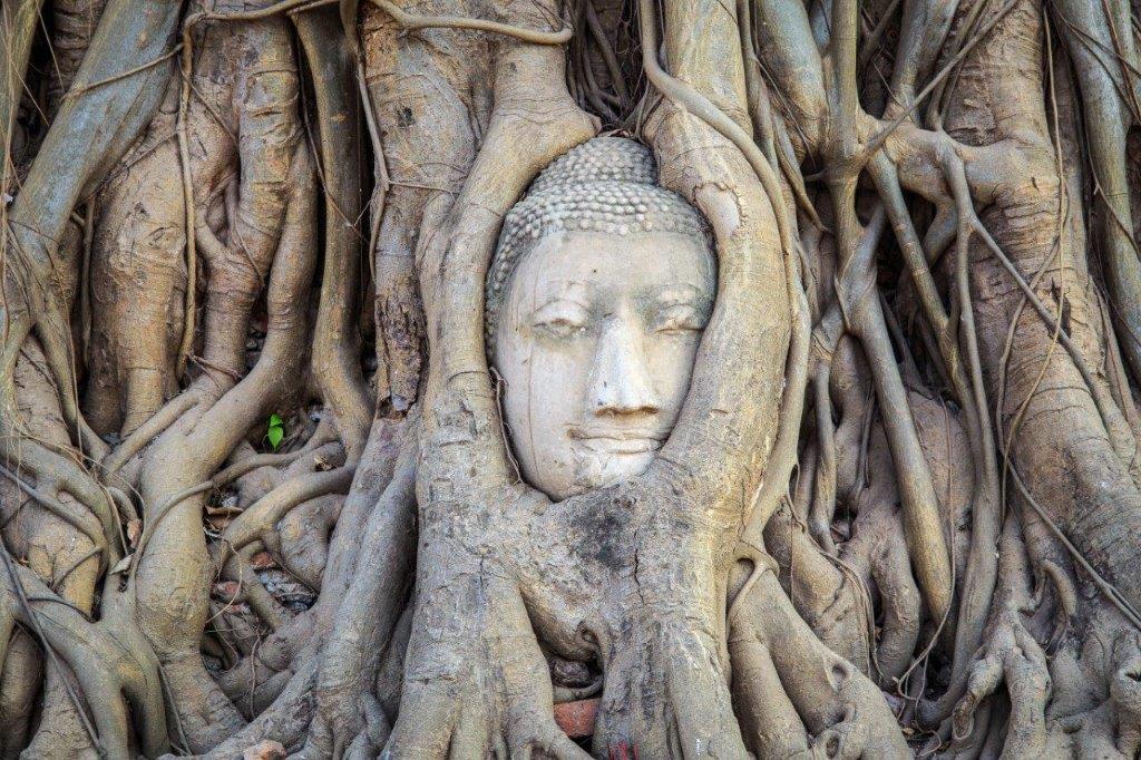 10 Días Explorando Tailandia, Tour en Grupo Pequeño (otros idiomas) - Imagen 4