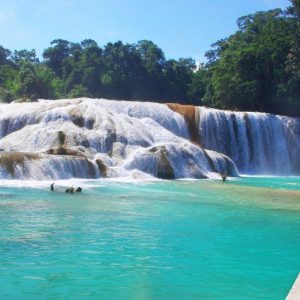 Lo mejor de Chiapas y Yucatán con el Tren Maya