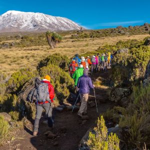 Machame Route, Silver Level Climb (On Request)