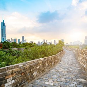 Experiencia cultural de Nanjing, Tour Privado