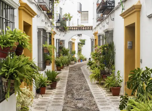 Andalucía y Marruecos - Imagen 4