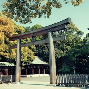 Leyendas de Japon 7 dias (Tokyo - Tokyo)