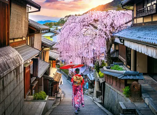 Japon Esencial y Corea - Imagen 8