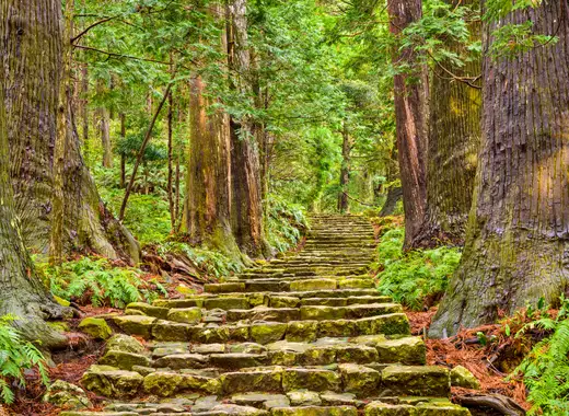 Japon: Camino Kumano (Kyoto - Tokyo) - Imagen 9